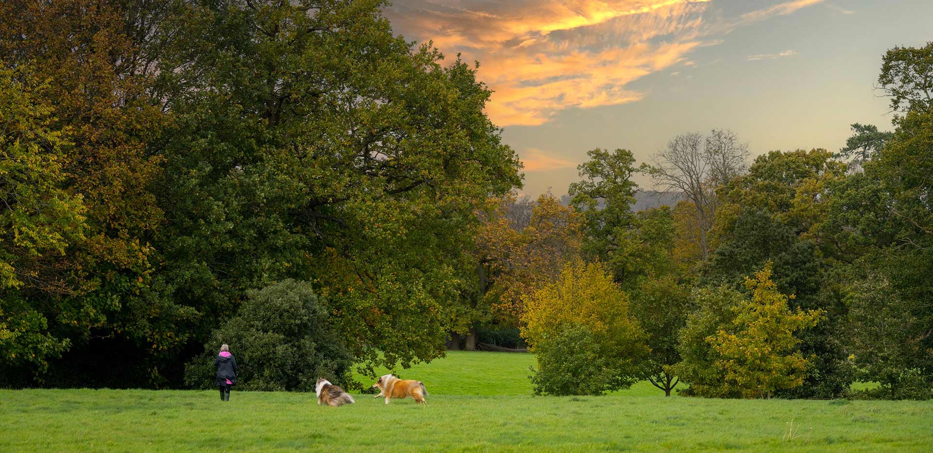 Oakhill, Country Park